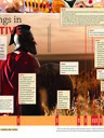 Preview of Chanukah TIMELINE DPS